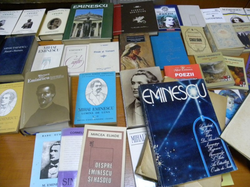 biblioteca eminescu expozitie (6)