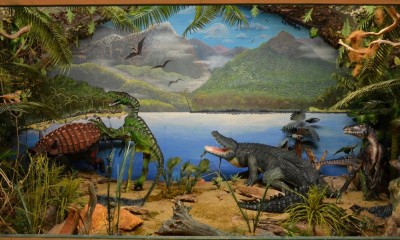 diorama-dinozaur-1