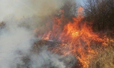 incendii vegetatie (1)